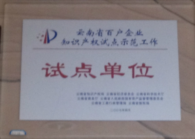 2007年，云南省百戶企業(yè)只是產(chǎn)權(quán)試點(diǎn)示范單位試點(diǎn)單位.jpg