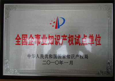 2010年，全國(guó)企事業(yè)知識(shí)產(chǎn)權(quán)試點(diǎn)單位.jpg