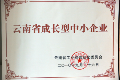 2010年，云南省成長型中小企業(yè).jpg