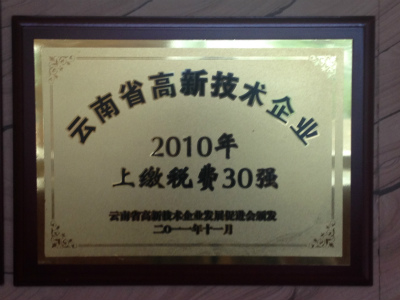 2011年，云南省高新技術企業(yè)2010年上稅繳費30強.jpg